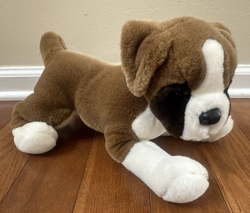 Douglas raro boxer coccole - boxer,