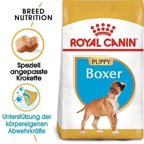 Royal canin boxer - boxer, junior