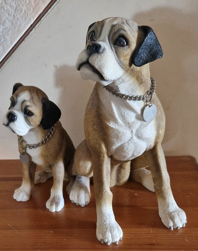 Leonardo boxer dog puppy - "boxer,