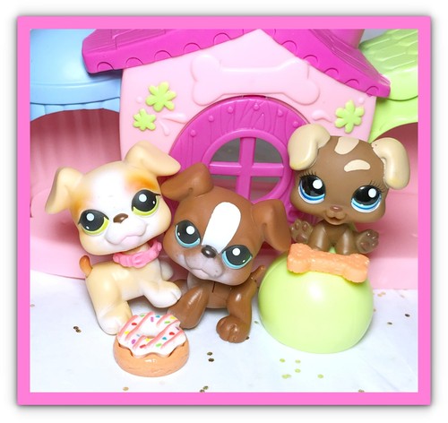 Autentico littlest pet shop - autentico,