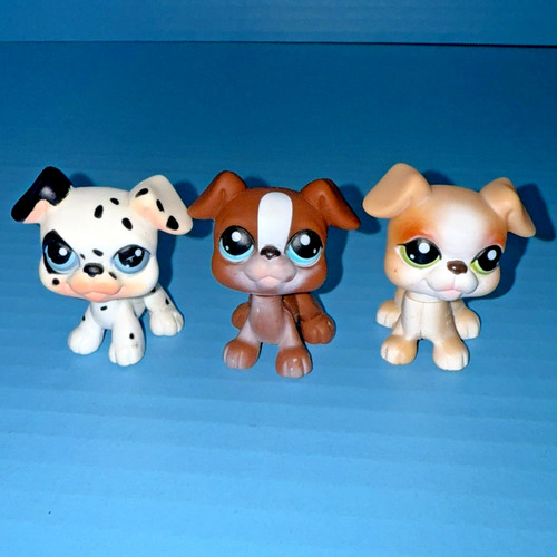 Littlest pet shop - shop, boxer