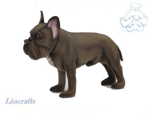 Hansa standing boxer dog 2596 - standing,