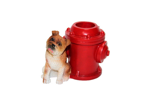 Boxer cucciolo cane - cucciolo, rosso