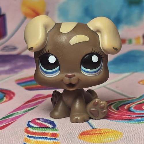 Littlest pet shop autentico - littlest,