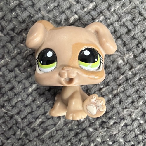 Autentico littlest pet - autentico,