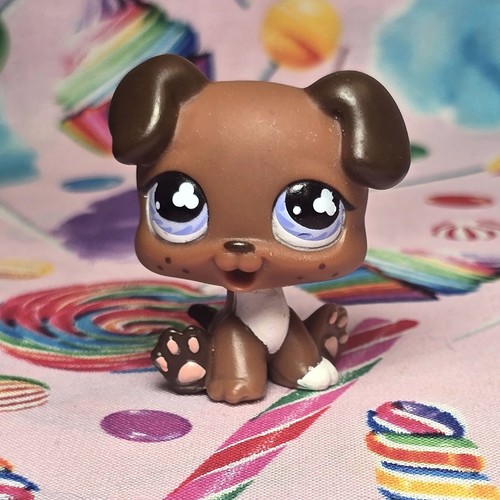 Littlest pet shop autentico - littlest,