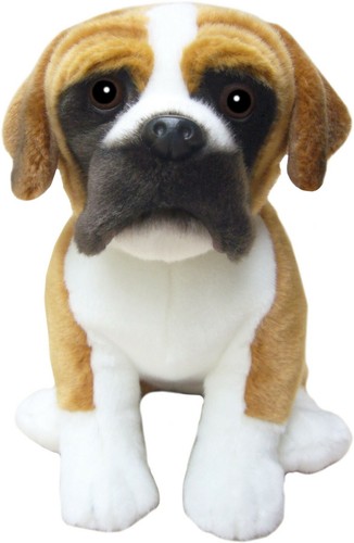 Boxer orsacchiotto - *, 12"