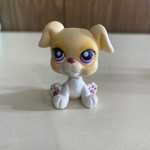 Autentico lps littlest pet - autentico,