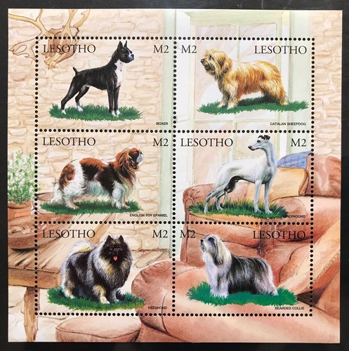 Lesotho dog francobolli foglio - lesotho,
