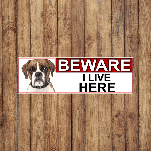 Boxer attenzione vivo qui - boxer,