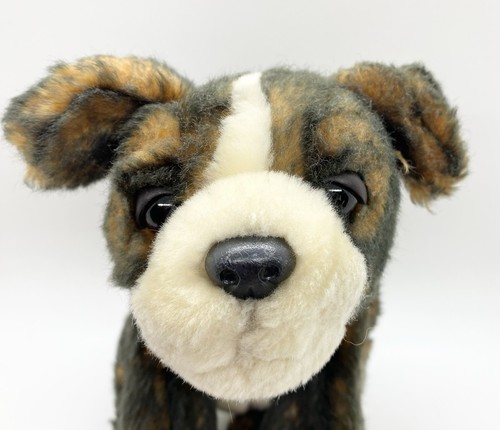 Brindle boxer cucciolo - brindle, 8"