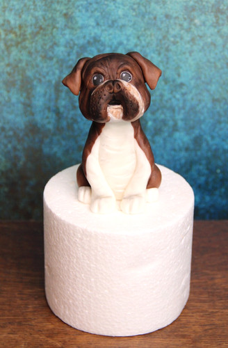 Boxer personalizzato cane - personalizzato,