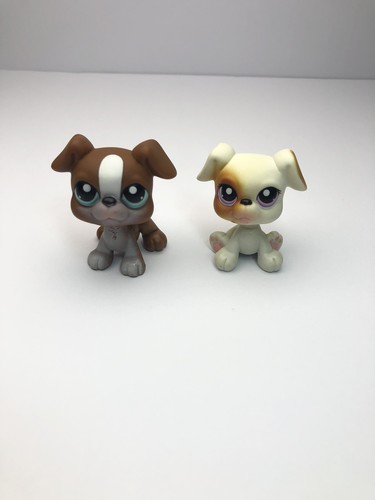 Boxer lps littlest pet - littlest,