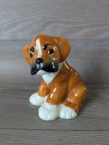 Melba ware bengo boxer puppy - ware,