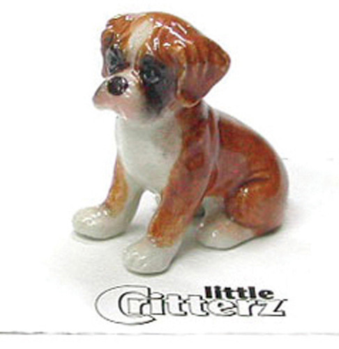 Piccola creatura cane - creatura,