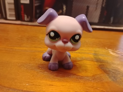 Littlest pet - littlest,