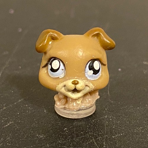 Autentico littlest pet - autentico, shop