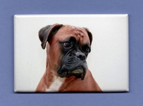 Boxer 2x3 magnete - boxer,