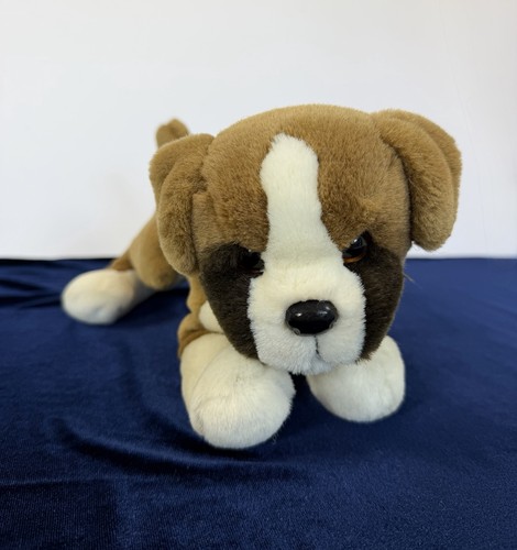 Boxer douglas pensione - douglas,