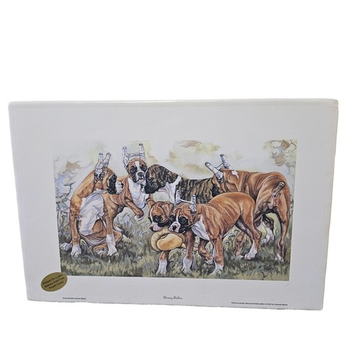 Boxer puppies rara stampa boxe - stampa,