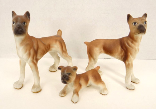 Boxer vintage miniatura - in,
