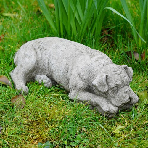 Statua pietra cane - in, boxer
