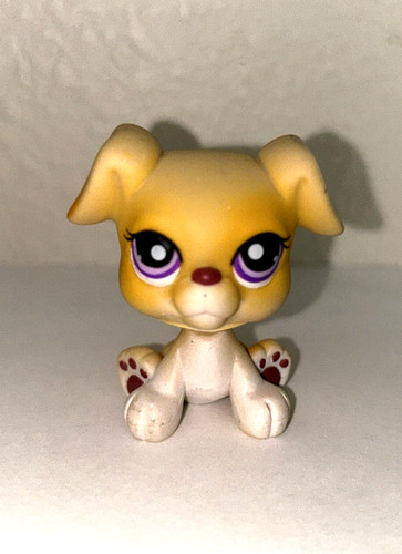 Littlest pet shop boxer - littlest,
