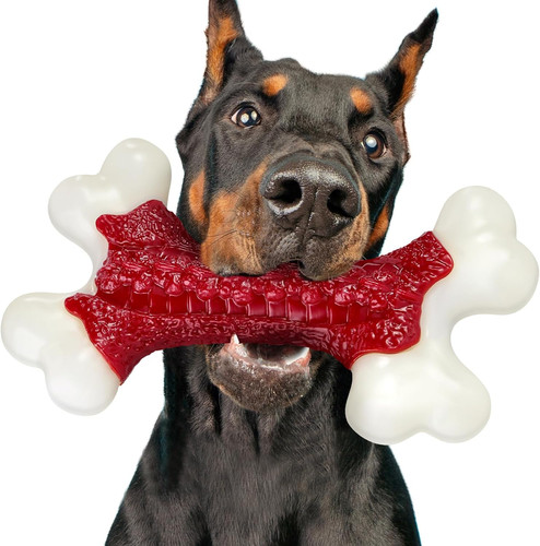 Giocattoli per cani resistenti - cani,
