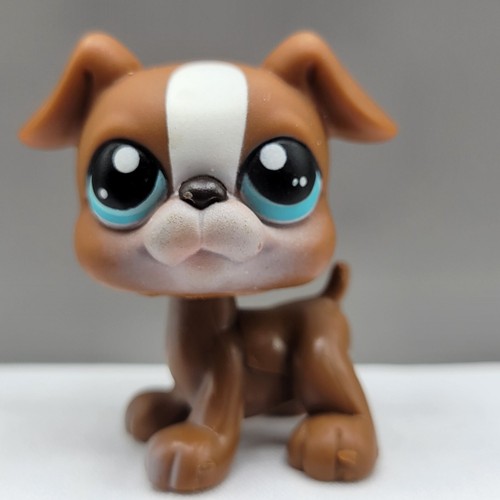 Littlest pet shop boxer - pet,