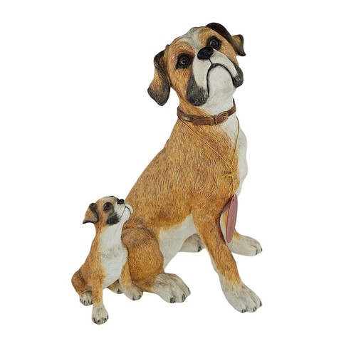 Boxer artisti country - artisti,