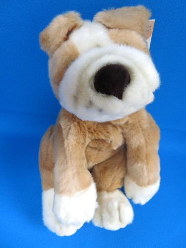 Large lungo boxer rocky - v., 15"